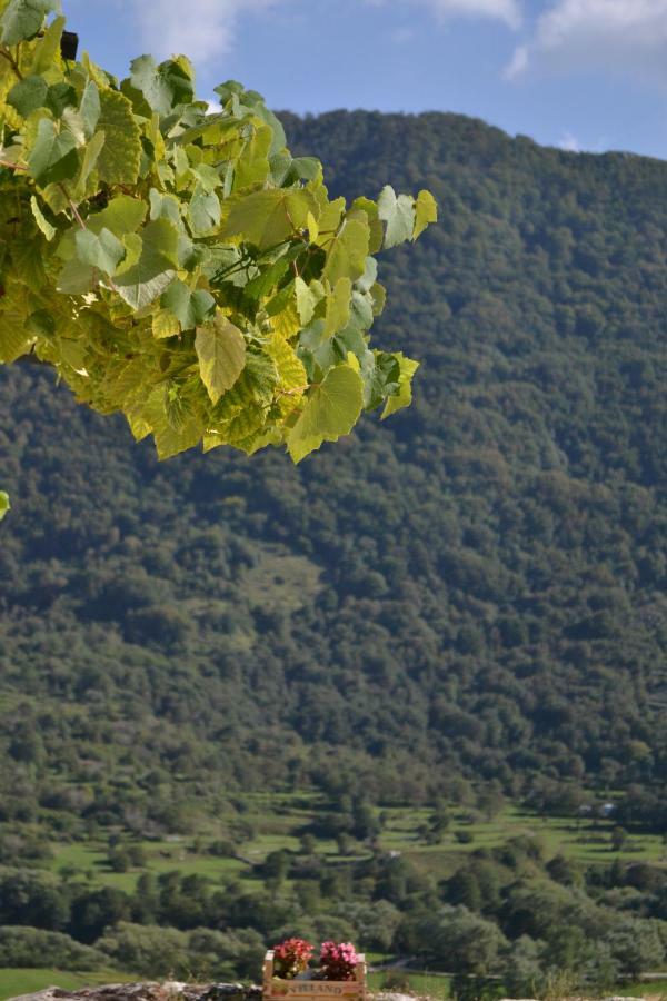 B&B La Casa Vecchia Gallo  Luaran gambar